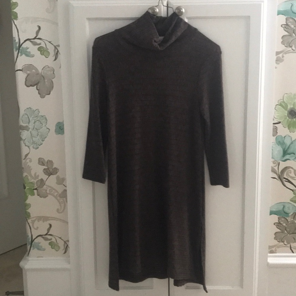 Anthropologie Brown Knit Turtle Neck Dress